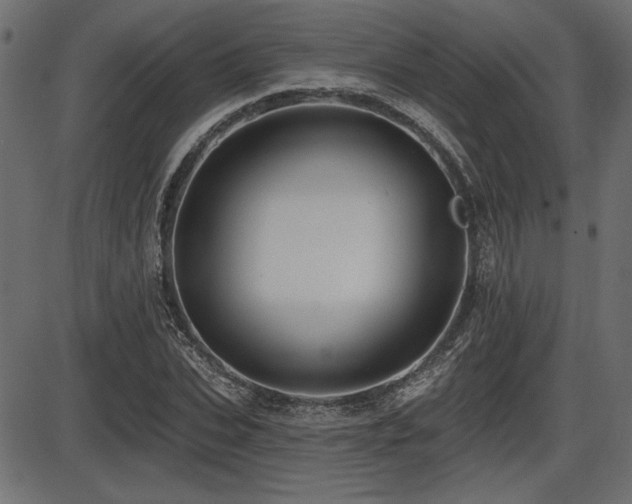 X0000087630927200705031442