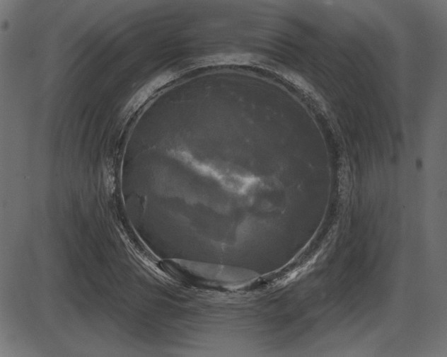 X0000087630929200705031442