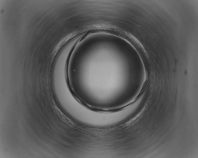 X0000087630930200705031442