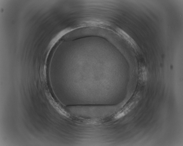 X0000087630932200705031442