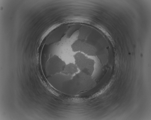 X0000087630933200705031442