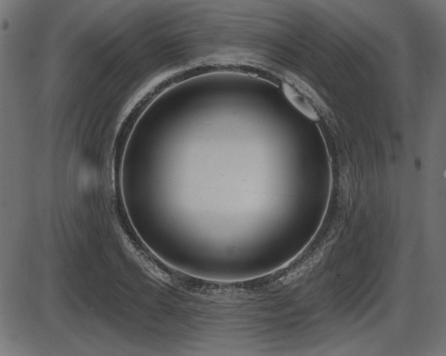 X0000087630934200705031442