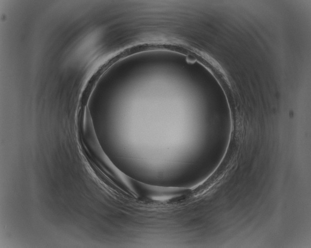 X0000087630935200705031442