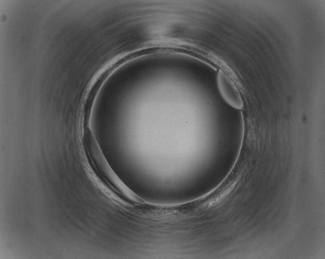 X0000087630939200705031442