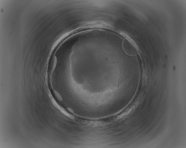 X0000087630941200705031442
