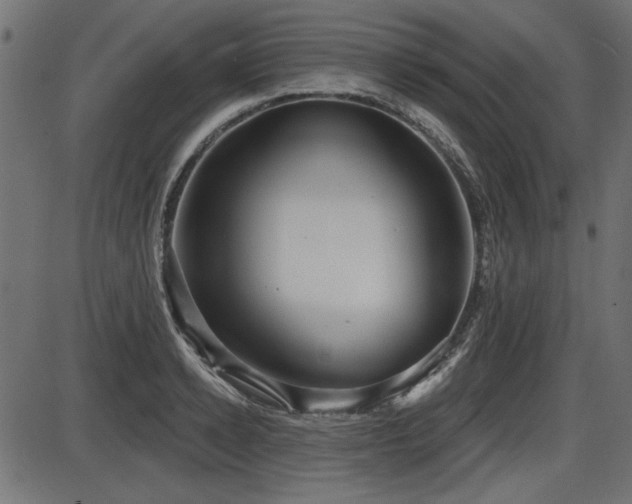 X0000087630942200705031442