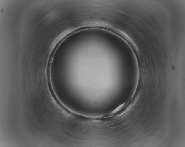 X0000087630943200705031442