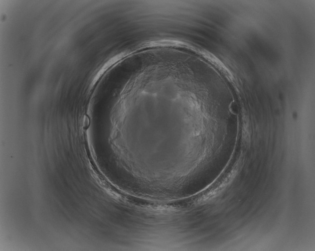 X0000087630945200705031442