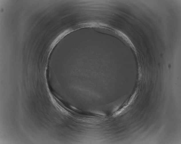 X0000087630946200705031442