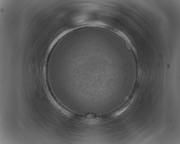 X0000087630947200705031442