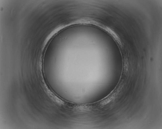 X0000087630950200705031442