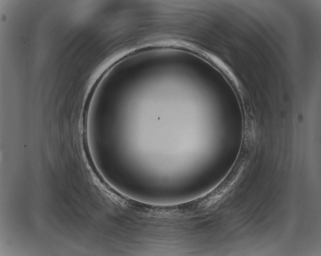 X0000087630951200705031442