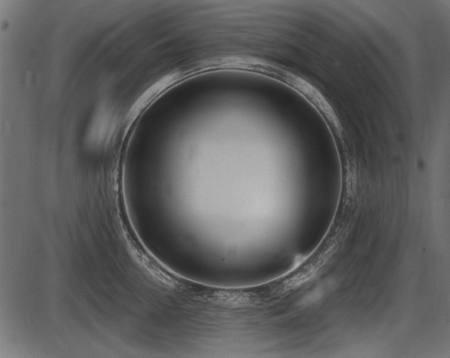 X0000087630954200705031442