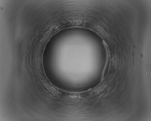 X0000087630961200705031441