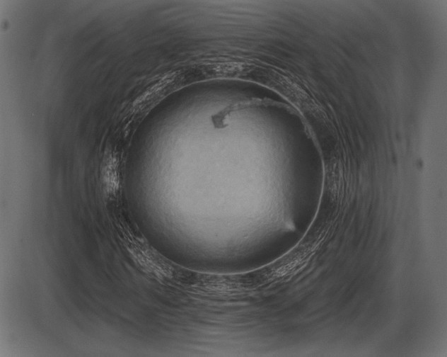 X0000087630962200705031441