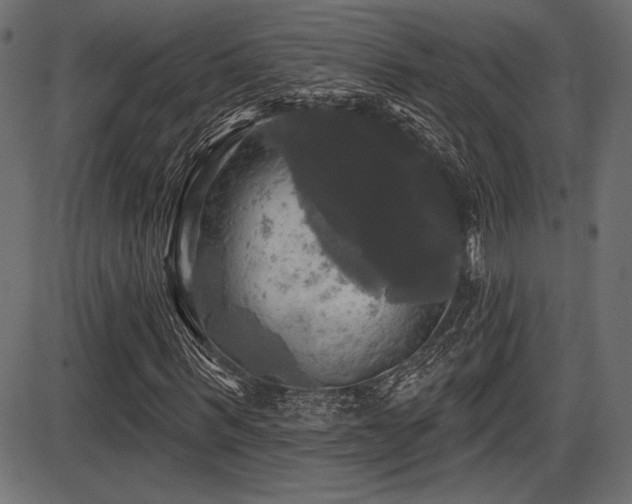 X0000087630963200705031441