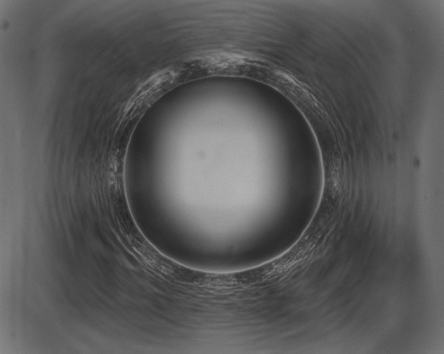 X0000087630964200705031441