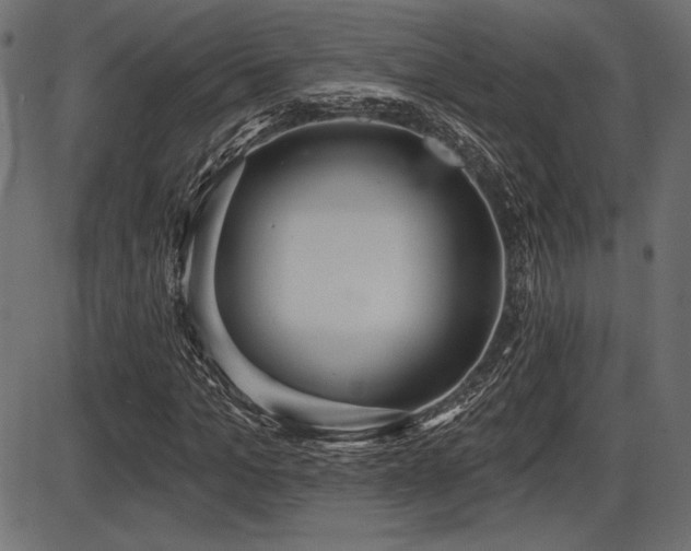 X0000087630965200705031441