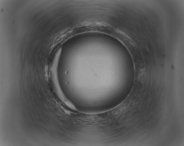 X0000087630966200705031441