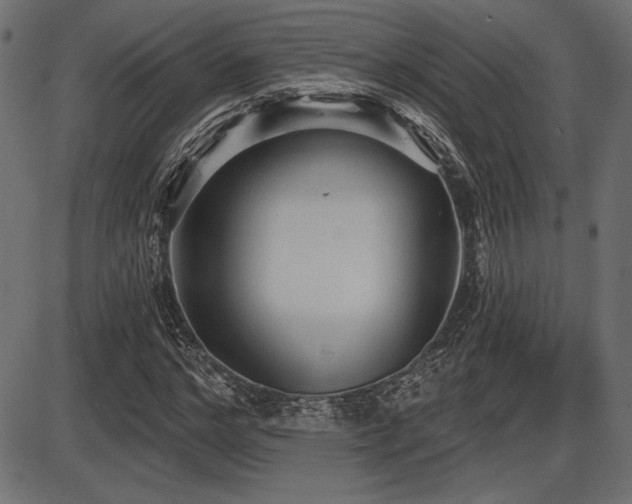 X0000087630968200705031441