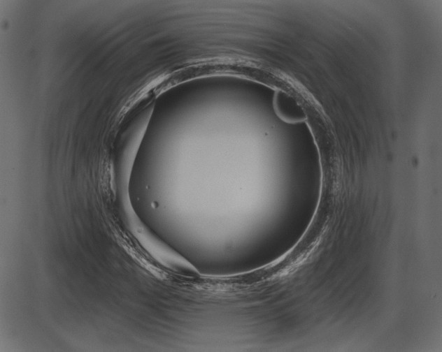 X0000087630969200705031441