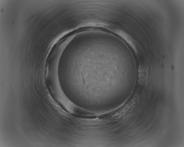 X0000087630972200705031441