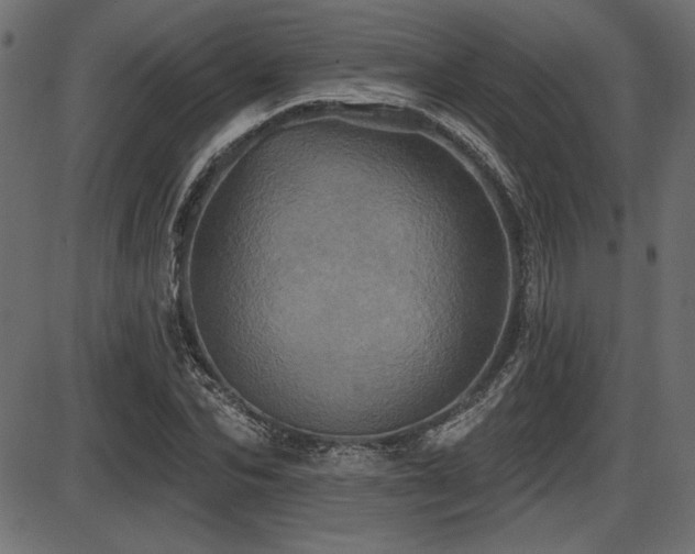 X0000087630974200705031441
