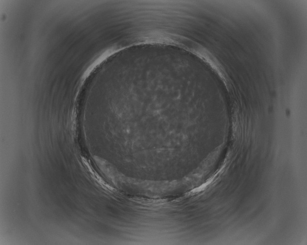 X0000087630975200705031441