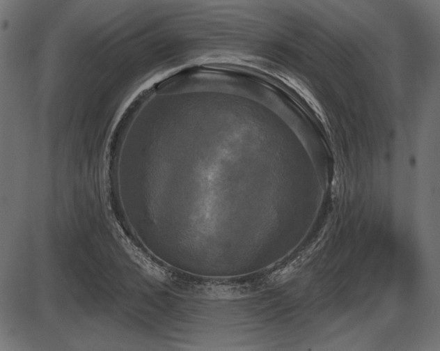 X0000087630976200705031441