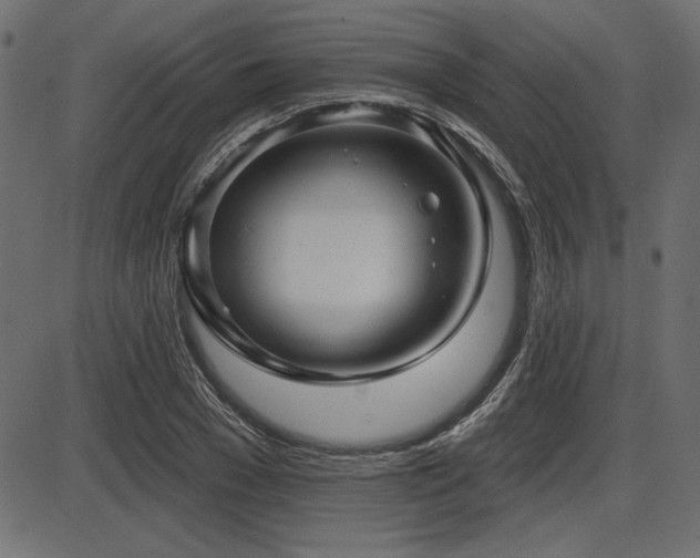 X0000087630977200705031441