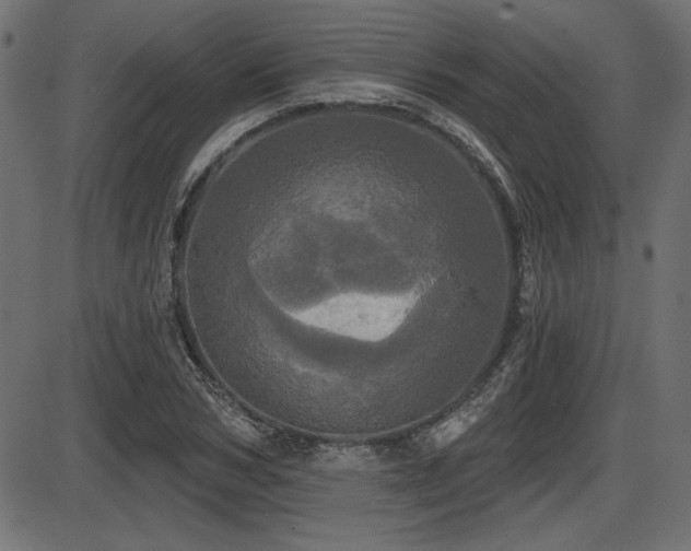 X0000087630978200705031441