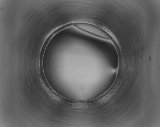 X0000087630980200705031441