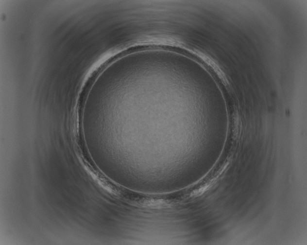 X0000087630982200705031441
