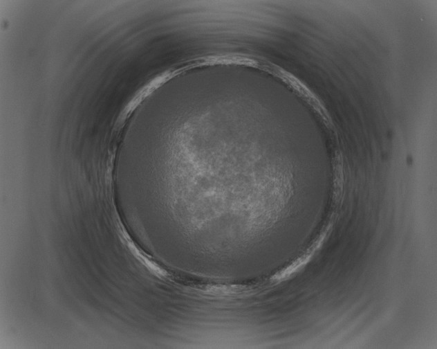 X0000087630985200705031441
