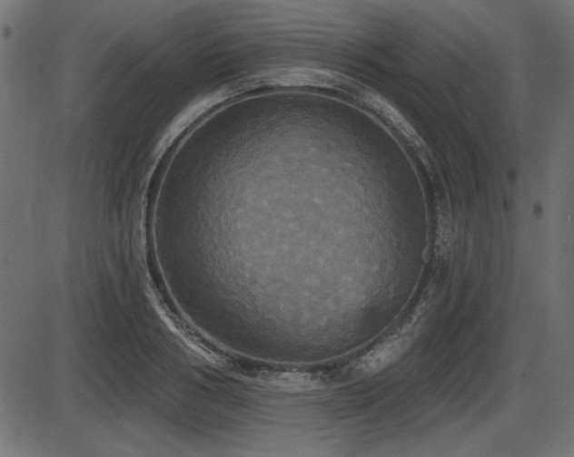 X0000087630986200705031441