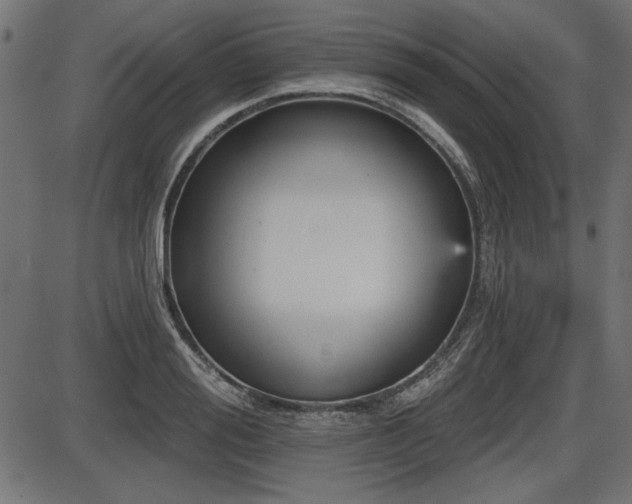 X0000087630988200705031441
