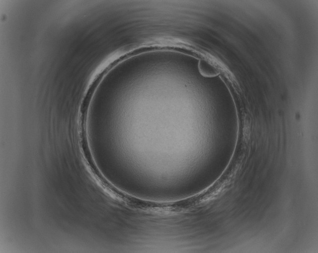X0000087630990200705031441