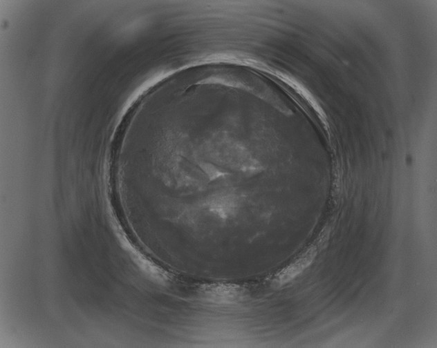 X0000087630991200705031441