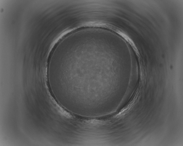 X0000087630992200705031441