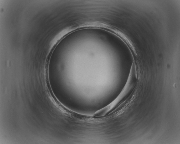X0000087630998200705031441