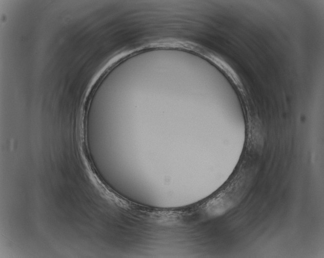 X0000087631000200705031441