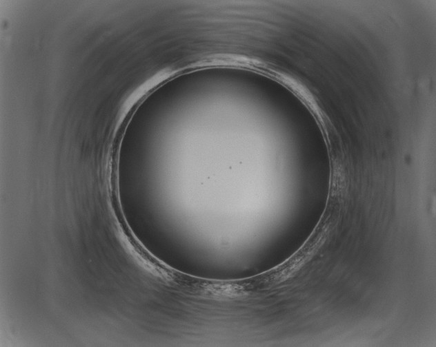 X0000087631003200705031441