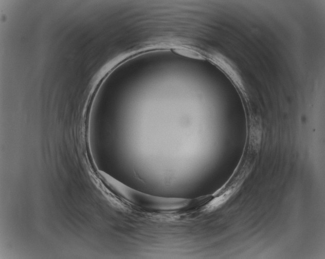 X0000087631004200705031441