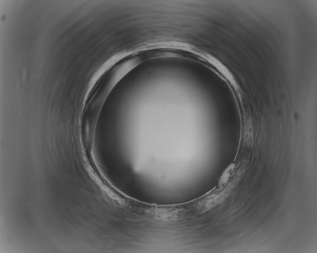X0000087631005200705031441
