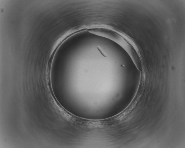 X0000087631006200705031441