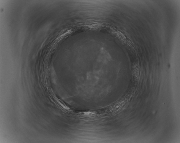 X0000087631009200705031440