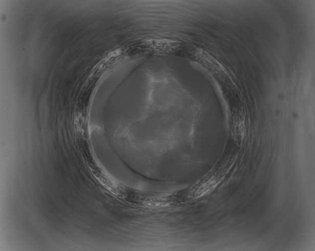 X0000087631010200705031440