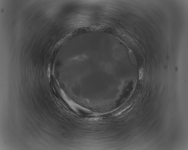 X0000087631011200705031440