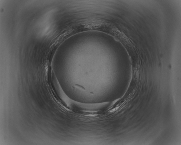 X0000087631012200705031440