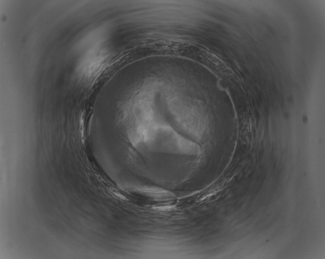 X0000087631013200705031440